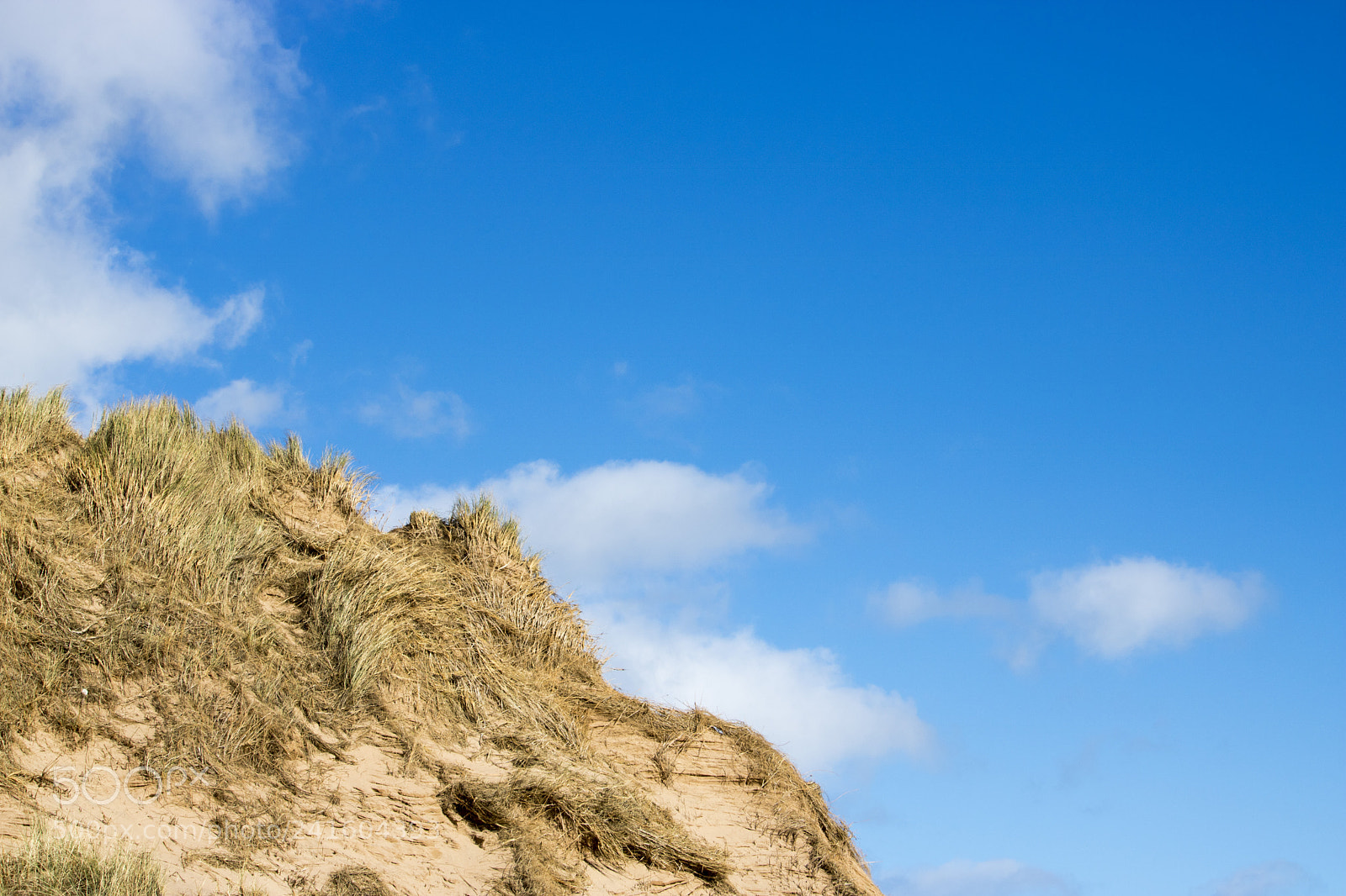 Canon EOS 750D (EOS Rebel T6i / EOS Kiss X8i) sample photo. Grassy sand dunes in photography