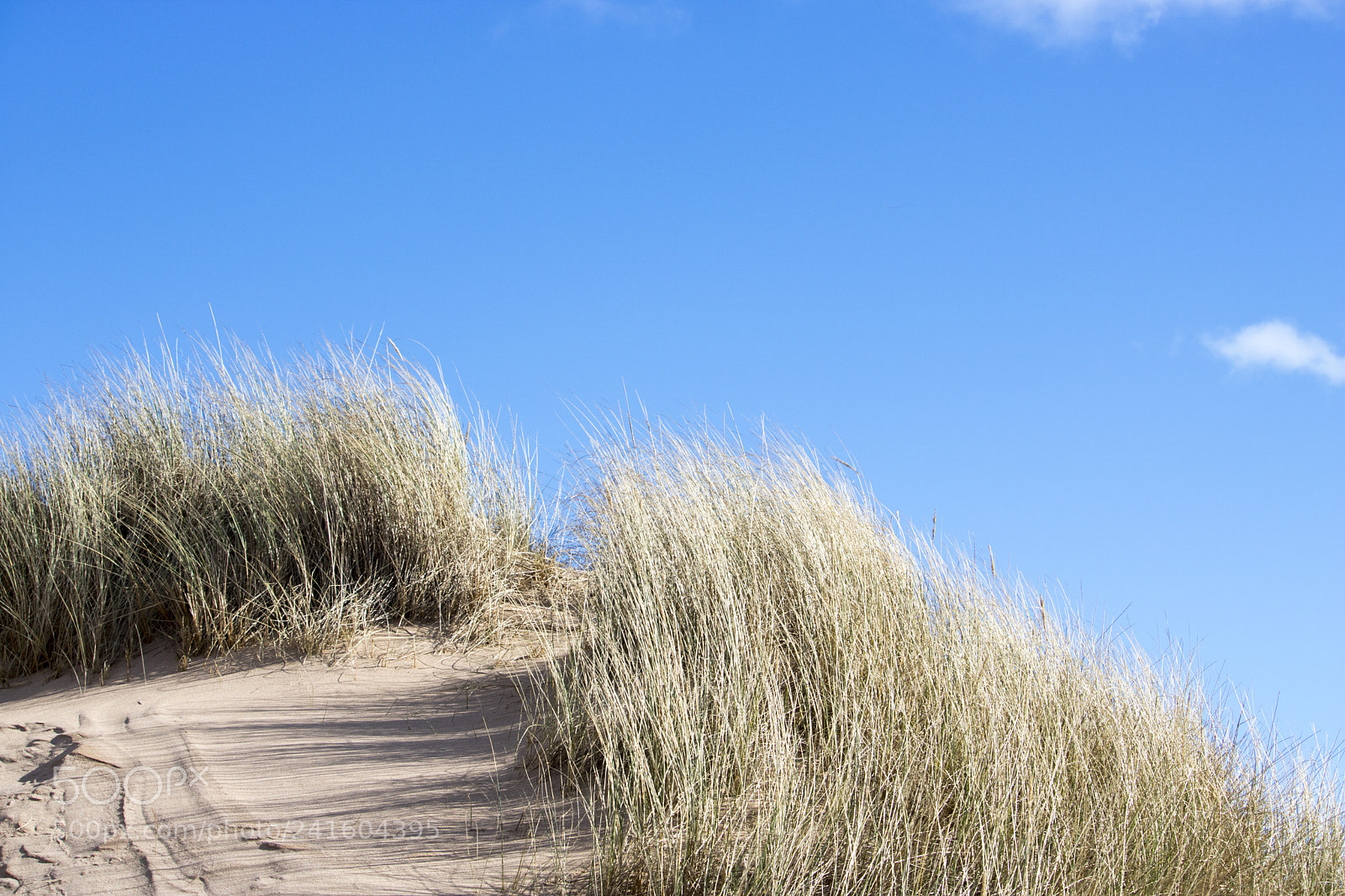 Canon EOS 750D (EOS Rebel T6i / EOS Kiss X8i) sample photo. Grassy sand dunes in photography