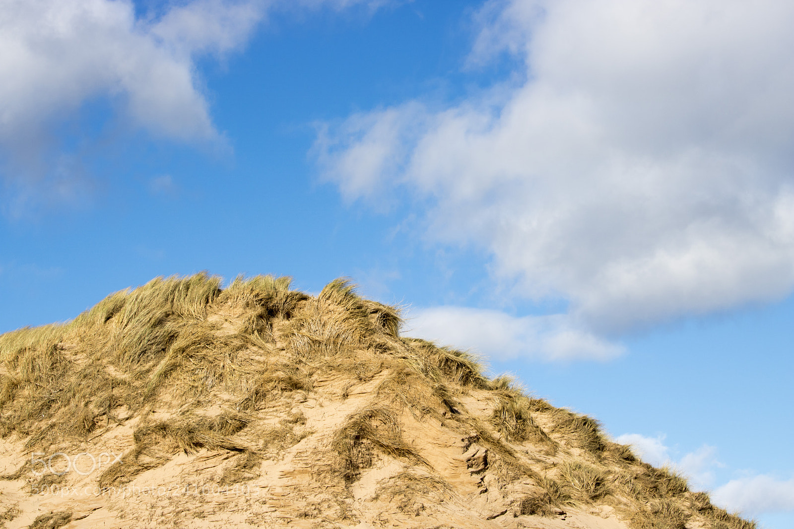 Canon EOS 750D (EOS Rebel T6i / EOS Kiss X8i) sample photo. Grassy sand dunes in photography