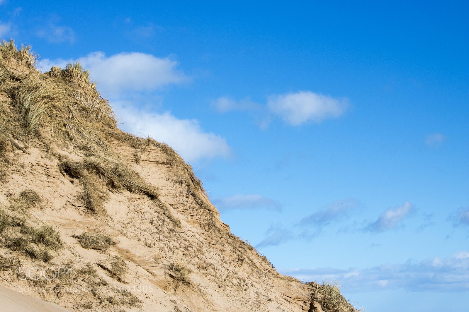 Canon EOS 750D (EOS Rebel T6i / EOS Kiss X8i) sample photo. Grassy sand dunes in photography