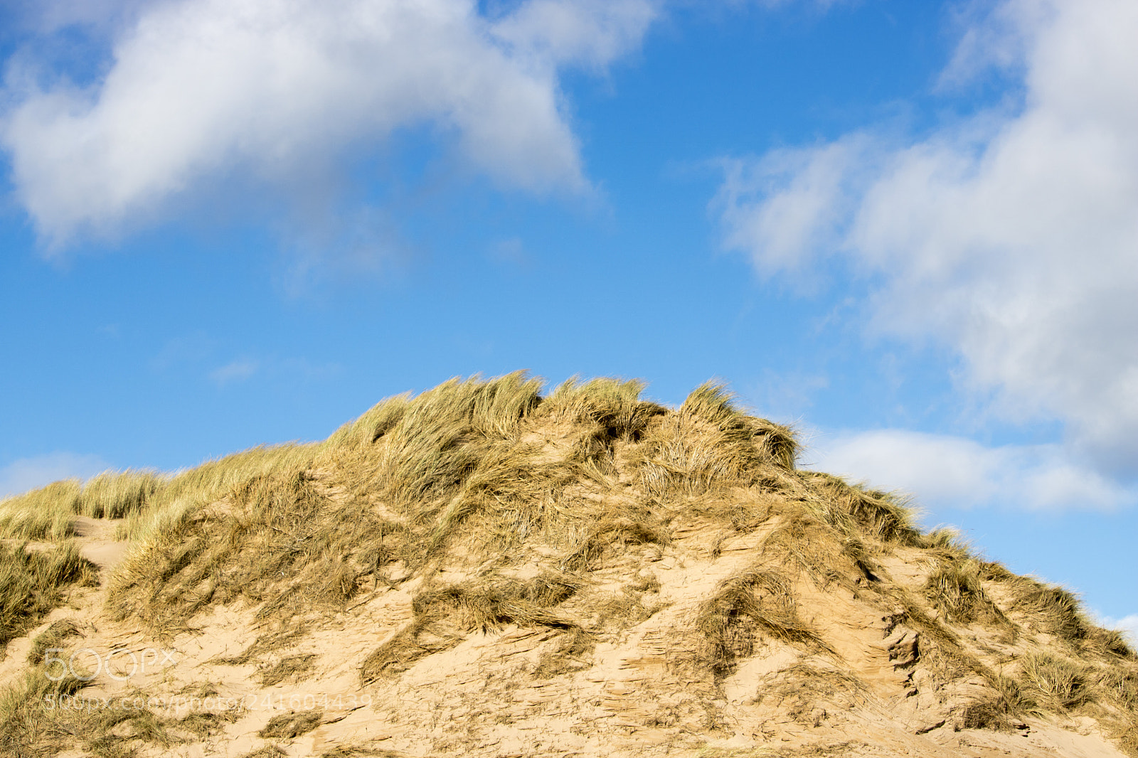 Canon EOS 750D (EOS Rebel T6i / EOS Kiss X8i) sample photo. Grassy sand dunes in photography