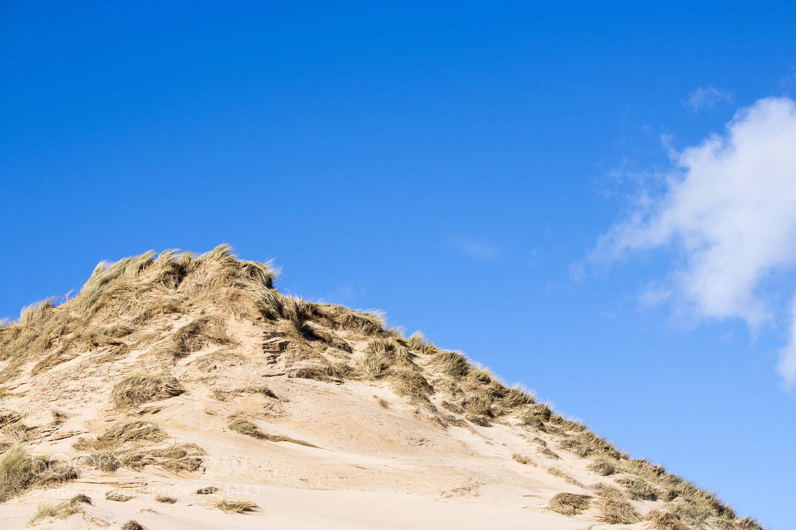 Canon EOS 750D (EOS Rebel T6i / EOS Kiss X8i) sample photo. Grassy sand dunes in photography