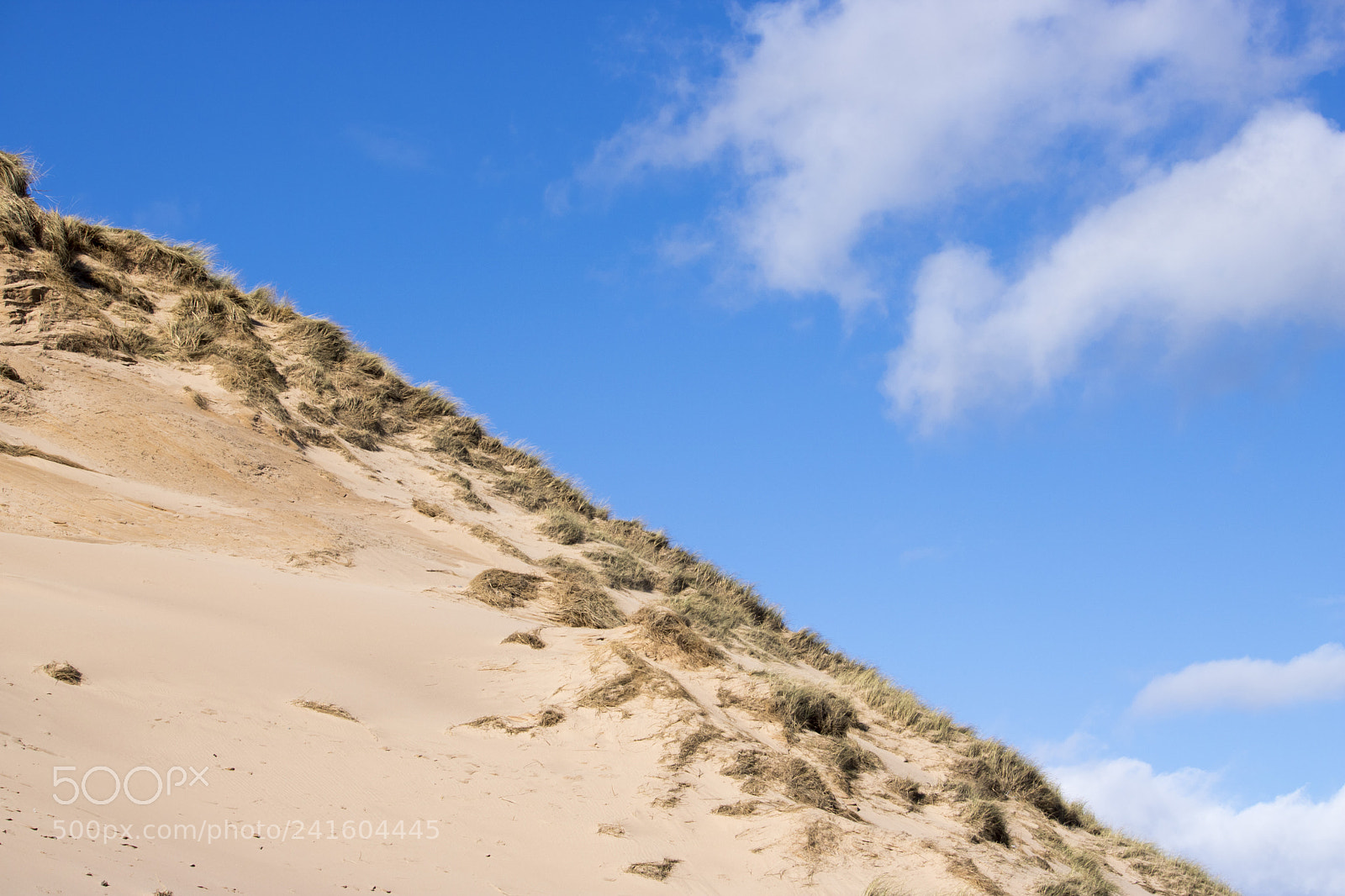 Canon EOS 750D (EOS Rebel T6i / EOS Kiss X8i) sample photo. Grassy sand dunes in photography