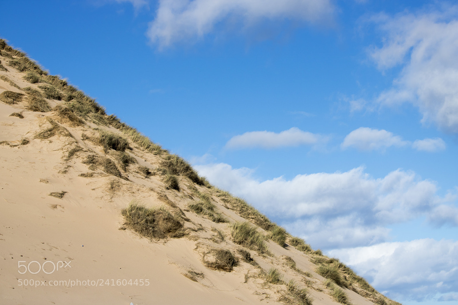 Canon EOS 750D (EOS Rebel T6i / EOS Kiss X8i) sample photo. Grassy sand dunes in photography
