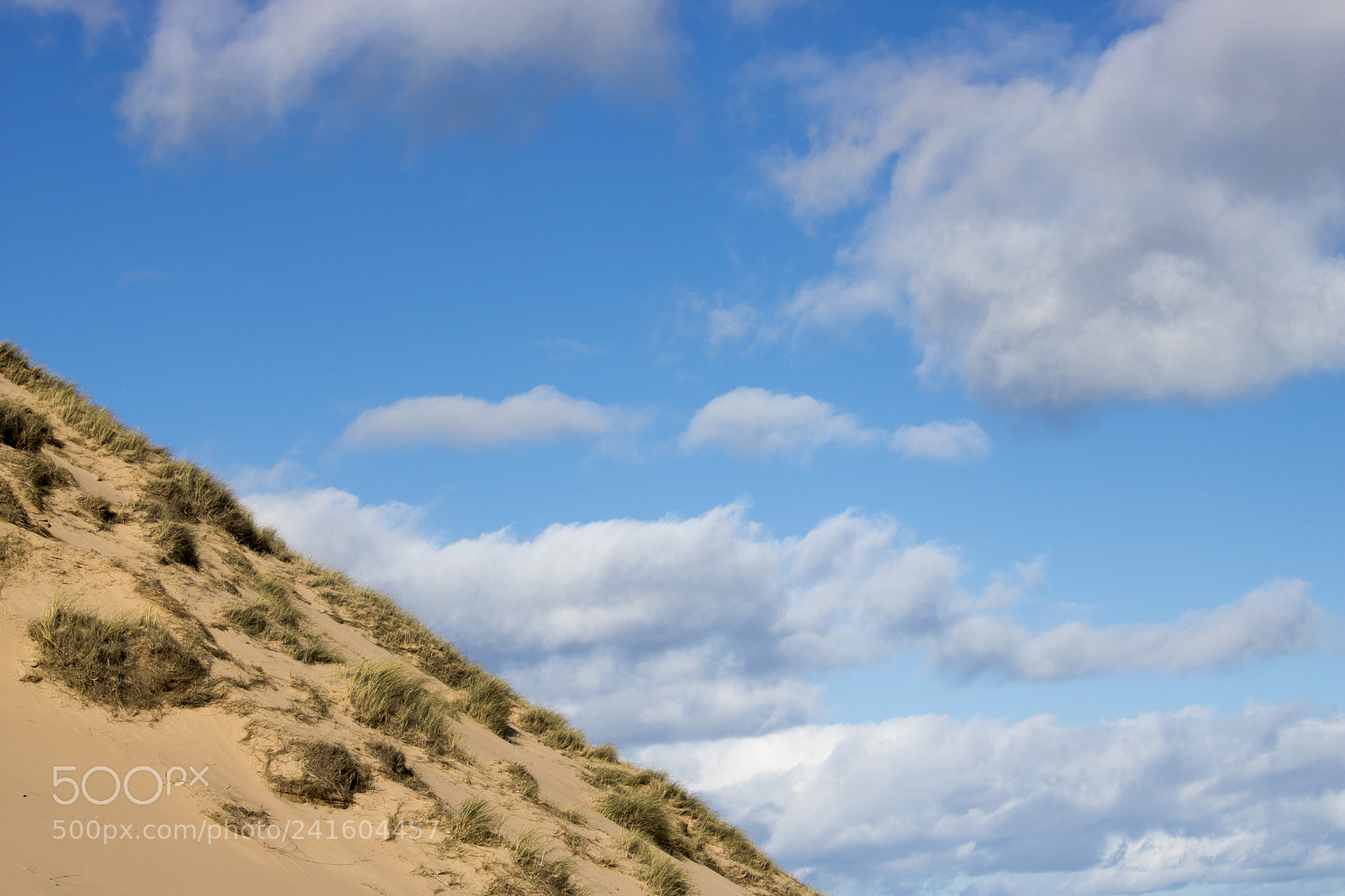 Canon EOS 750D (EOS Rebel T6i / EOS Kiss X8i) sample photo. Grassy sand dunes in photography