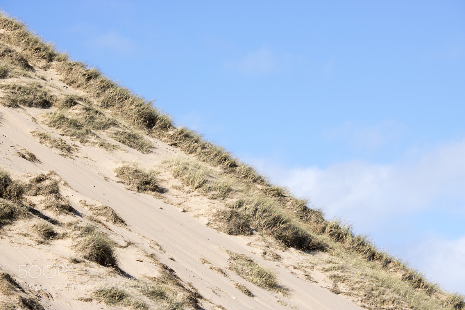 Canon EOS 750D (EOS Rebel T6i / EOS Kiss X8i) sample photo. Grassy sand dunes in photography