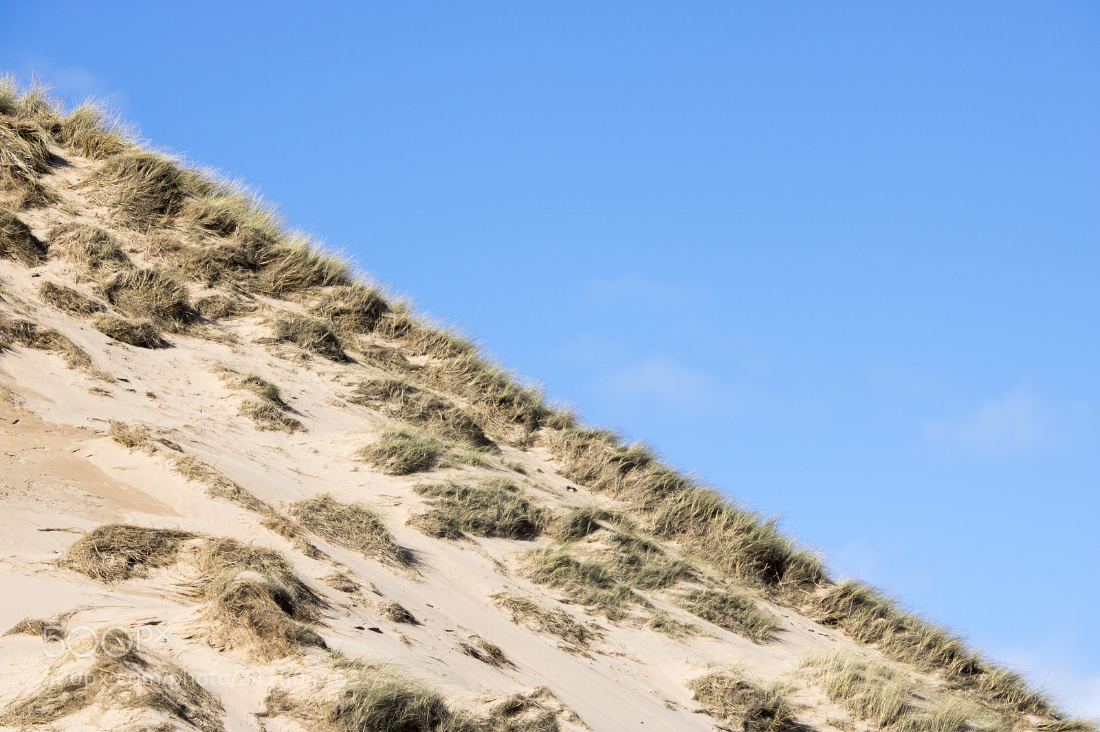 Canon EOS 750D (EOS Rebel T6i / EOS Kiss X8i) sample photo. Grassy sand dunes in photography