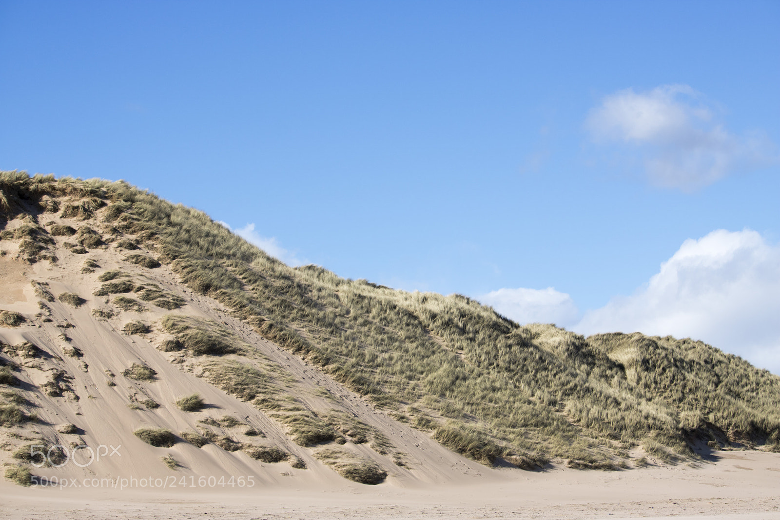 Canon EOS 750D (EOS Rebel T6i / EOS Kiss X8i) sample photo. Grassy sand dunes in photography
