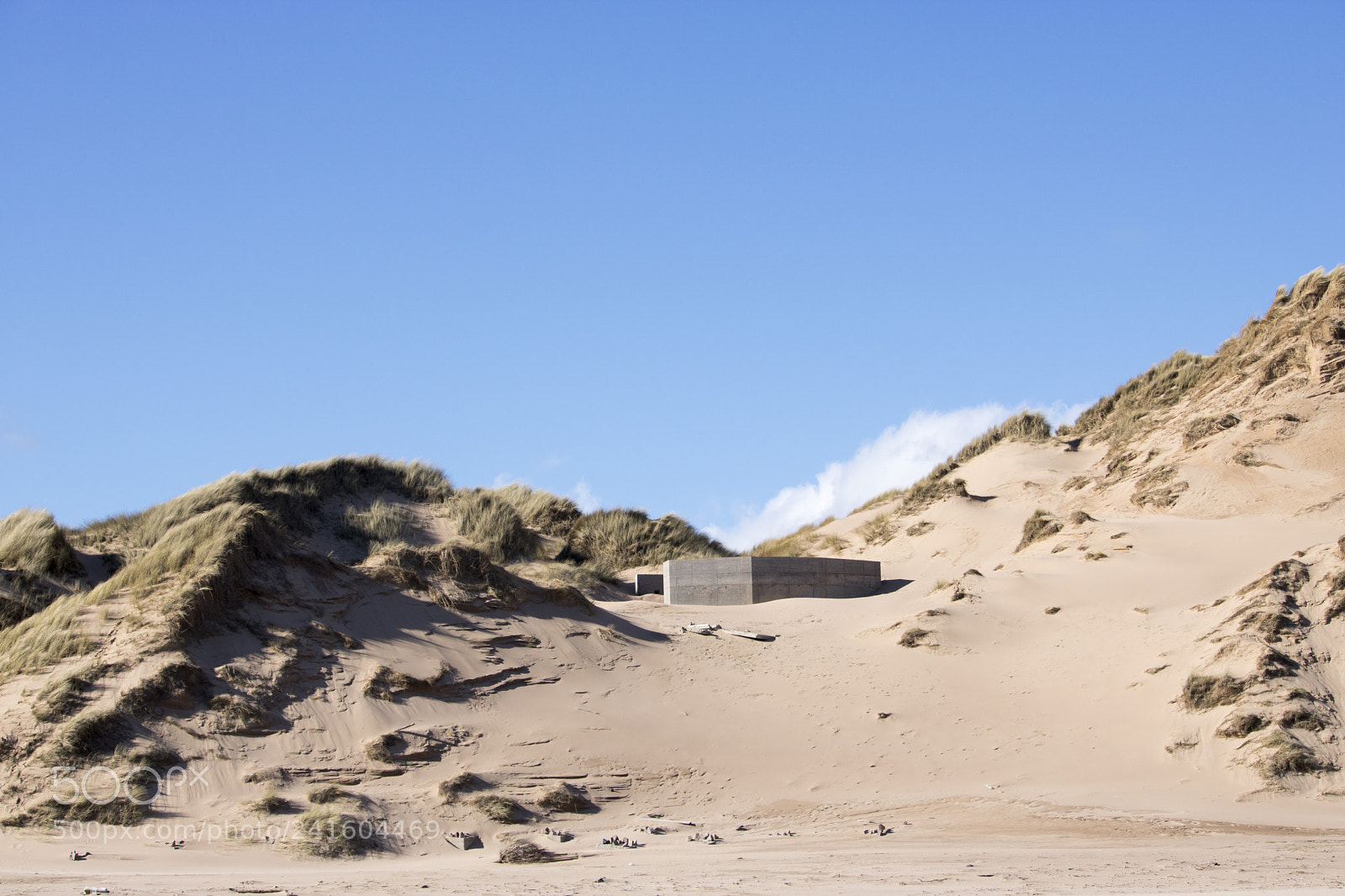 Canon EOS 750D (EOS Rebel T6i / EOS Kiss X8i) sample photo. Grassy sand dunes in photography