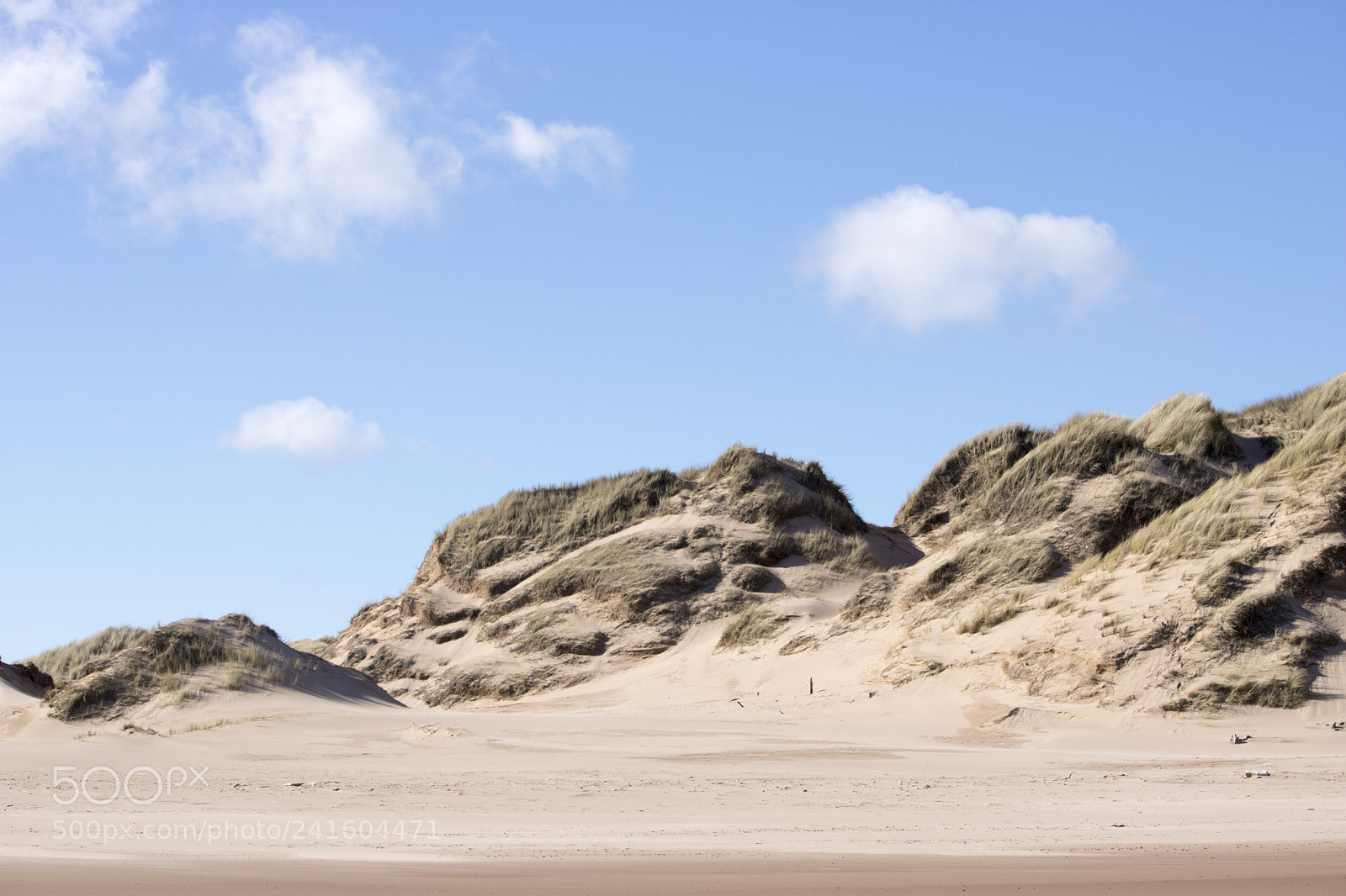 Canon EOS 750D (EOS Rebel T6i / EOS Kiss X8i) sample photo. Grassy sand dunes in photography