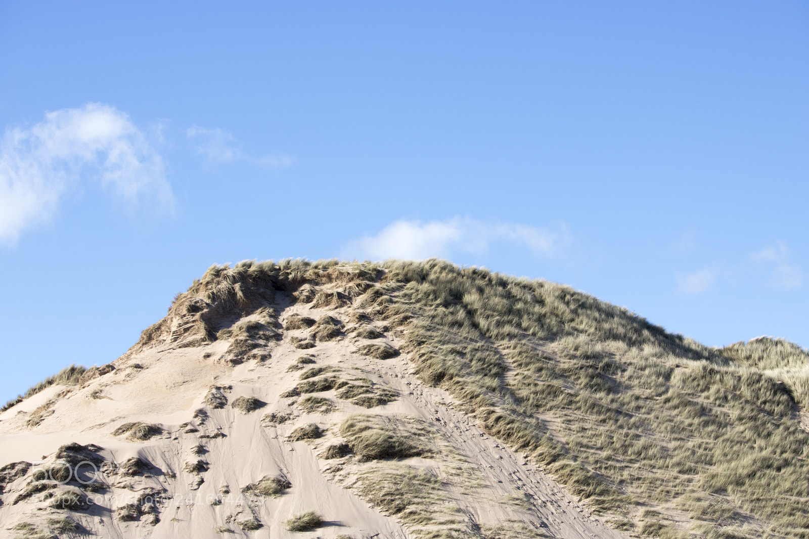 Canon EOS 750D (EOS Rebel T6i / EOS Kiss X8i) sample photo. Grassy sand dunes in photography