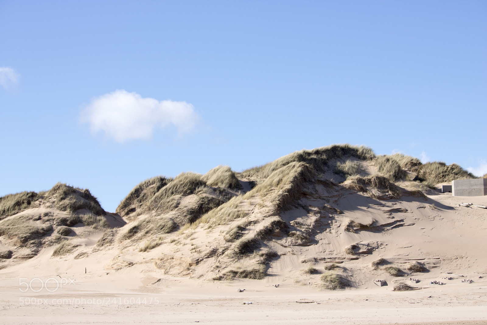 Canon EOS 750D (EOS Rebel T6i / EOS Kiss X8i) sample photo. Grassy sand dunes in photography