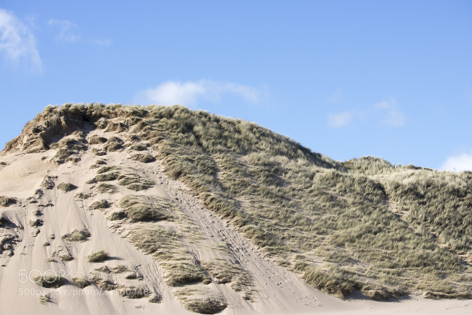 Canon EOS 750D (EOS Rebel T6i / EOS Kiss X8i) sample photo. Grassy sand dunes in photography