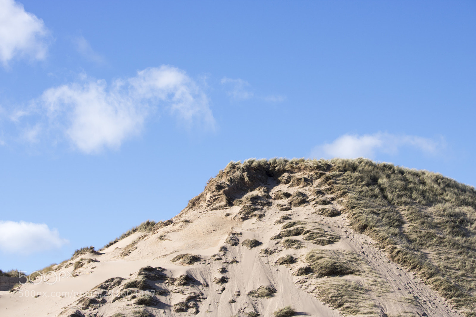 Canon EOS 750D (EOS Rebel T6i / EOS Kiss X8i) sample photo. Grassy sand dunes in photography