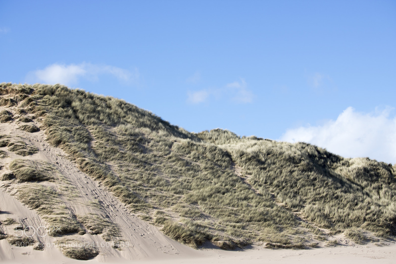 Canon EOS 750D (EOS Rebel T6i / EOS Kiss X8i) sample photo. Grassy sand dunes in photography