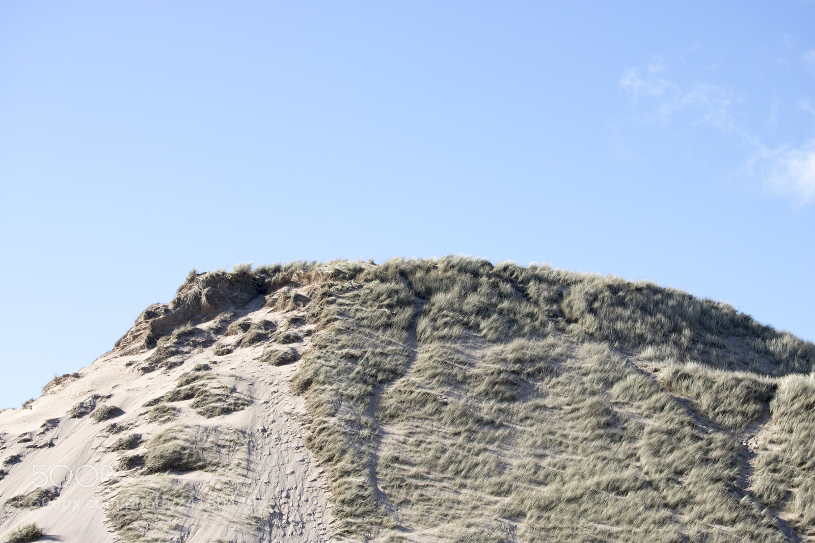 Canon EOS 750D (EOS Rebel T6i / EOS Kiss X8i) sample photo. Grassy sand dunes in photography