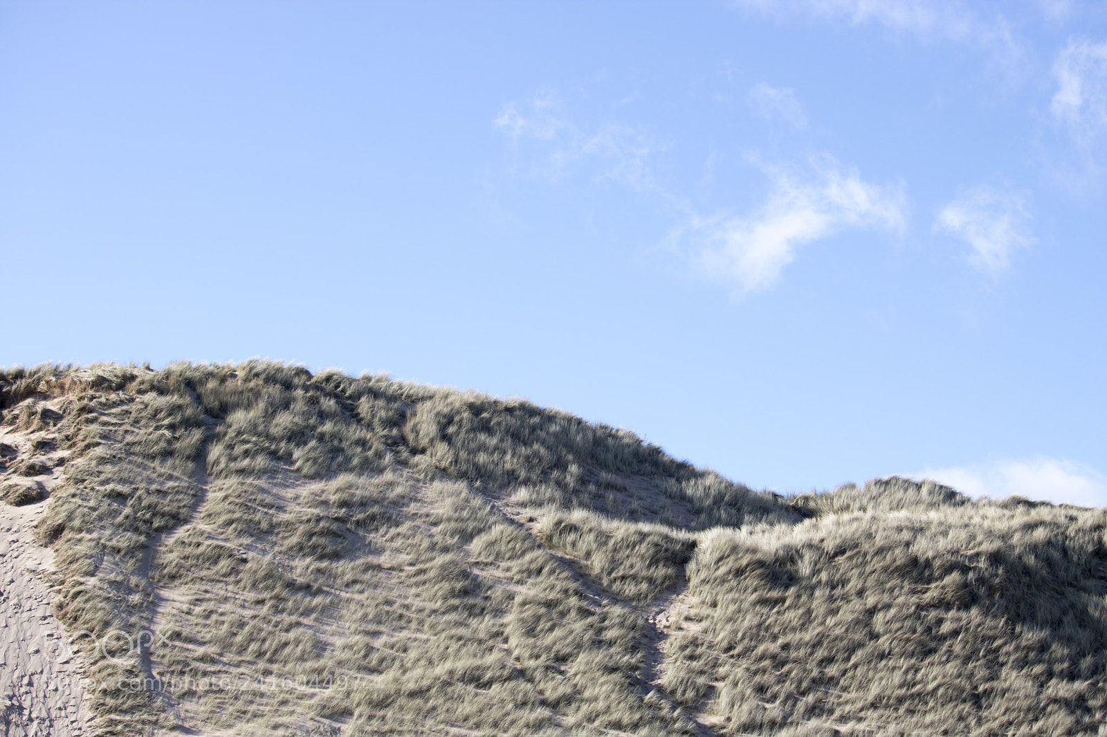 Canon EOS 750D (EOS Rebel T6i / EOS Kiss X8i) sample photo. Grassy sand dunes in photography