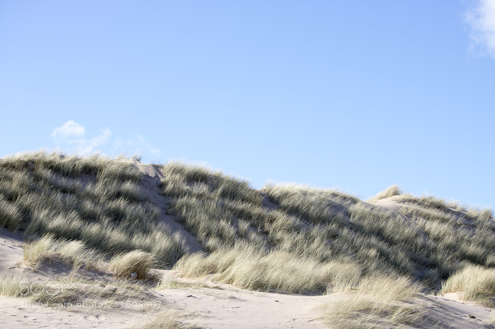 Canon EOS 750D (EOS Rebel T6i / EOS Kiss X8i) sample photo. Grassy sand dunes in photography