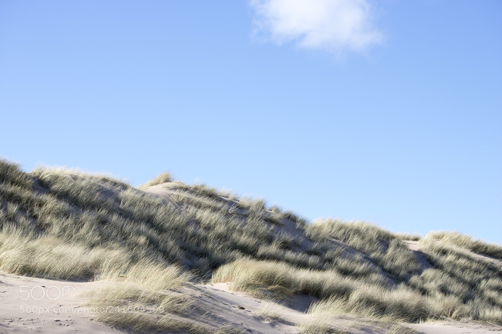 Canon EOS 750D (EOS Rebel T6i / EOS Kiss X8i) sample photo. Grassy sand dunes in photography