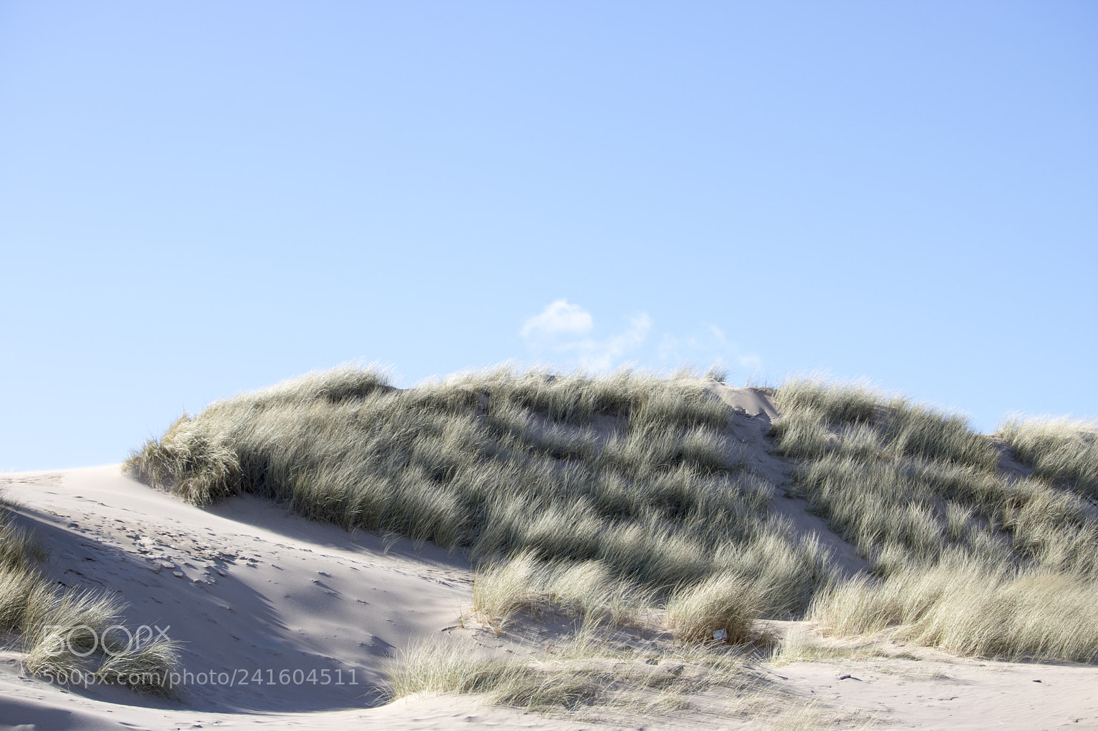 Canon EOS 750D (EOS Rebel T6i / EOS Kiss X8i) sample photo. Grassy sand dunes in photography