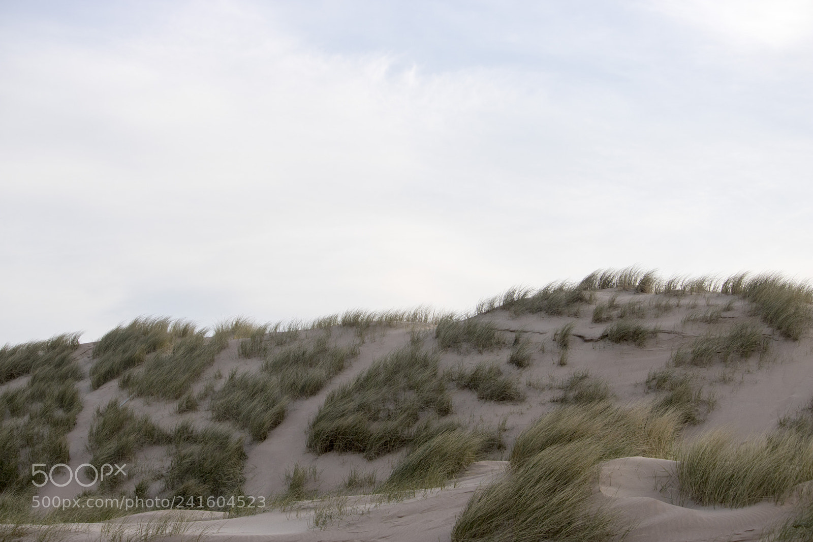 Canon EOS 750D (EOS Rebel T6i / EOS Kiss X8i) sample photo. Grassy sand dunes in photography