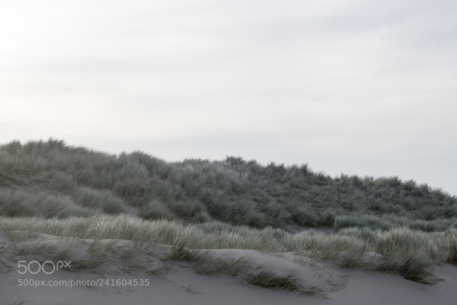 Canon EOS 750D (EOS Rebel T6i / EOS Kiss X8i) sample photo. Grassy sand dunes in photography