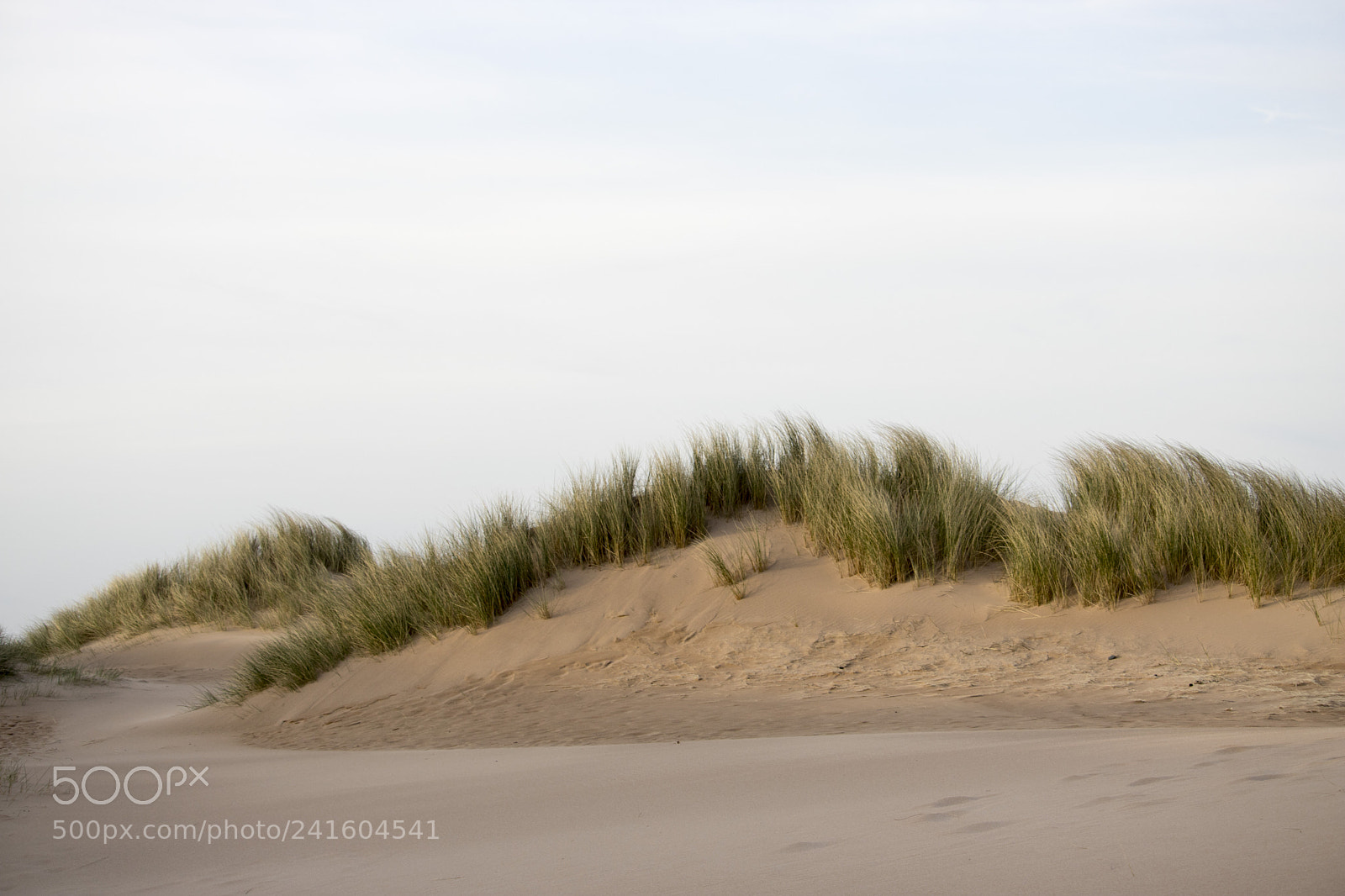 Canon EOS 750D (EOS Rebel T6i / EOS Kiss X8i) sample photo. Grassy sand dunes in photography