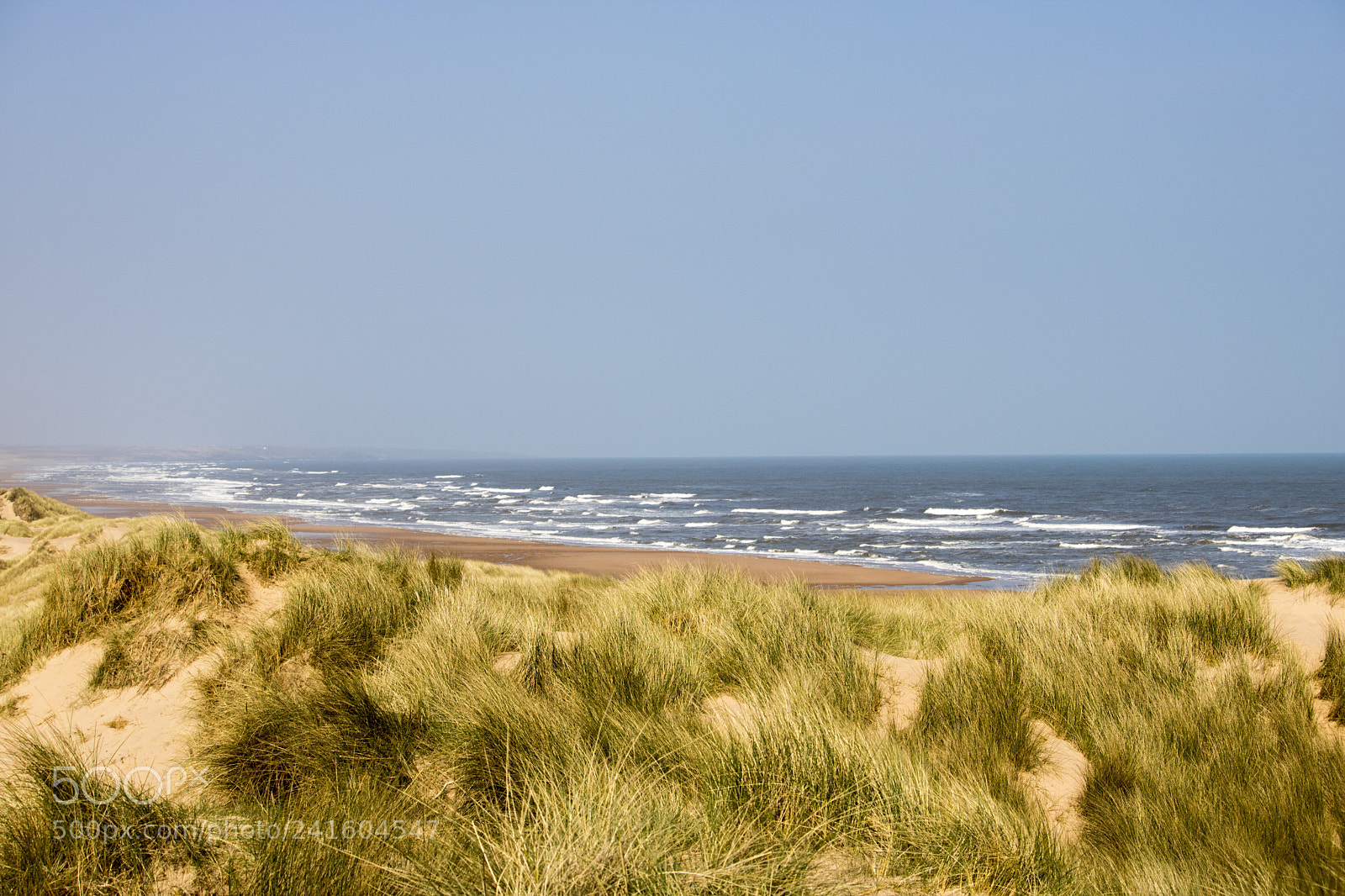 Canon EOS 750D (EOS Rebel T6i / EOS Kiss X8i) sample photo. Grassy sand dunes in photography