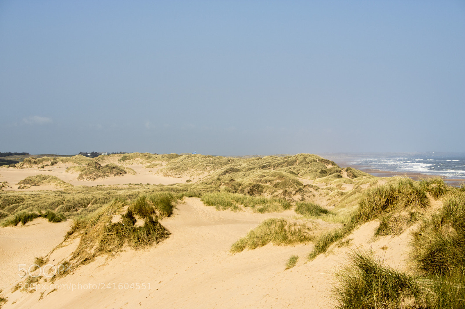 Canon EOS 750D (EOS Rebel T6i / EOS Kiss X8i) sample photo. Grassy sand dunes in photography