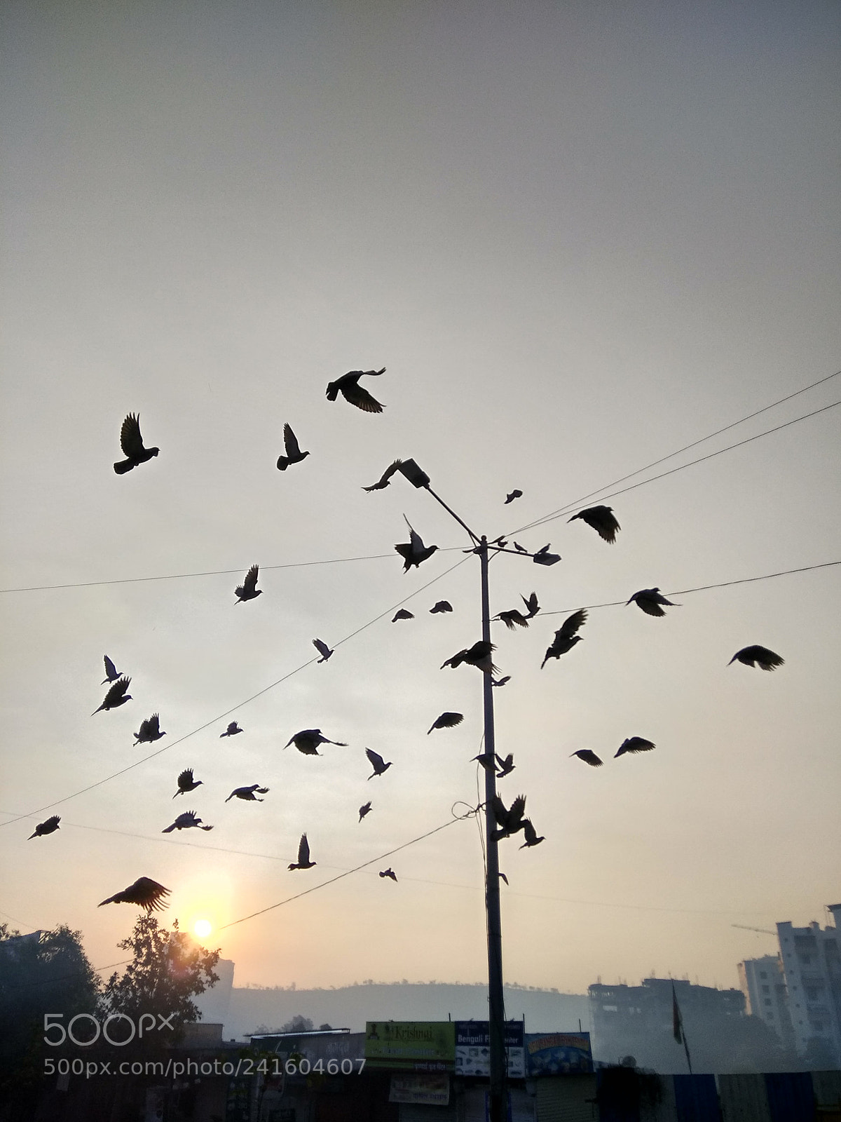 Xiaomi Redmi Note 4 sample photo. Untitled photography