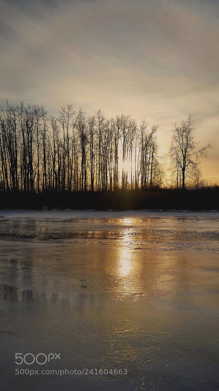Samsung Galaxy S5 sample photo. Pond sunset photography