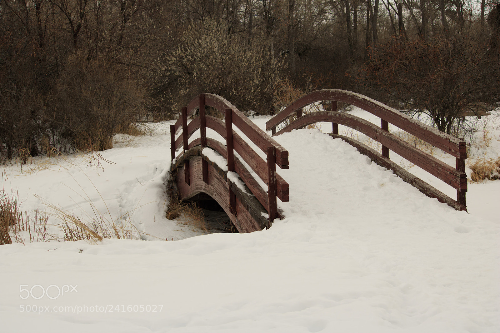 Canon EOS 750D (EOS Rebel T6i / EOS Kiss X8i) sample photo. Little bridge photography