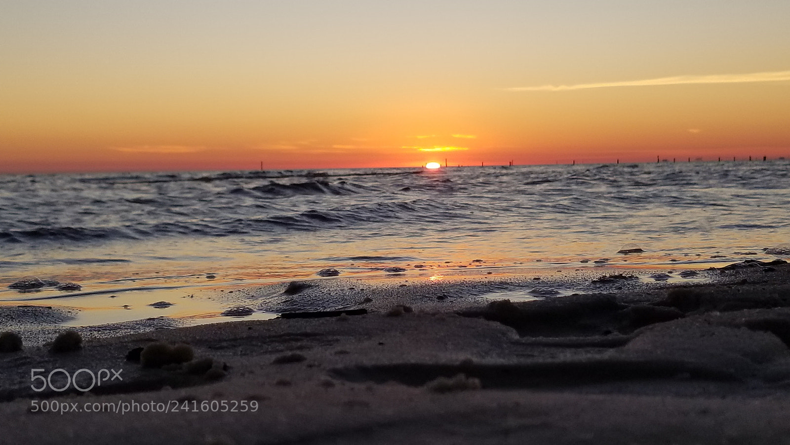Samsung Galaxy S8 sample photo. Untitled photography