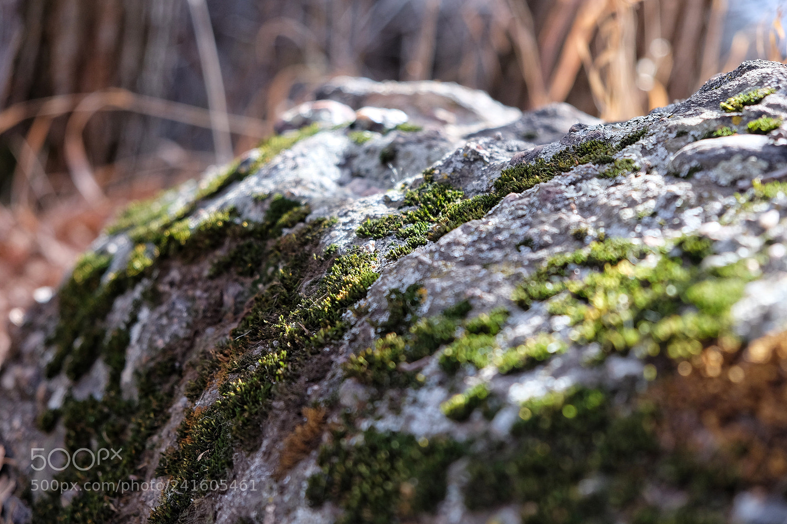 Fujifilm X-E2S sample photo. Castlewood canyon colorado 1/6/18 photography