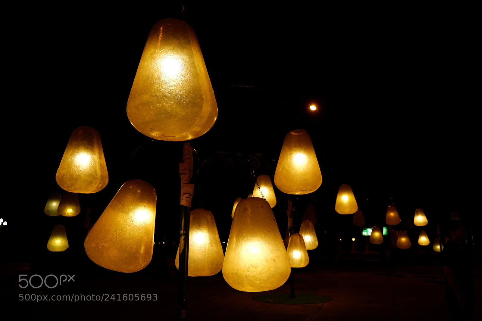 Fujifilm X-A3 sample photo. Untitled photography