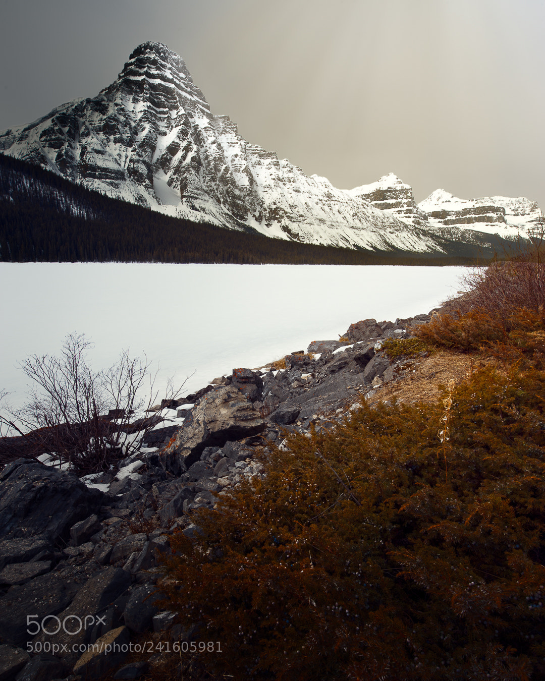 Nikon D700 sample photo. Alaskan glow ii photography
