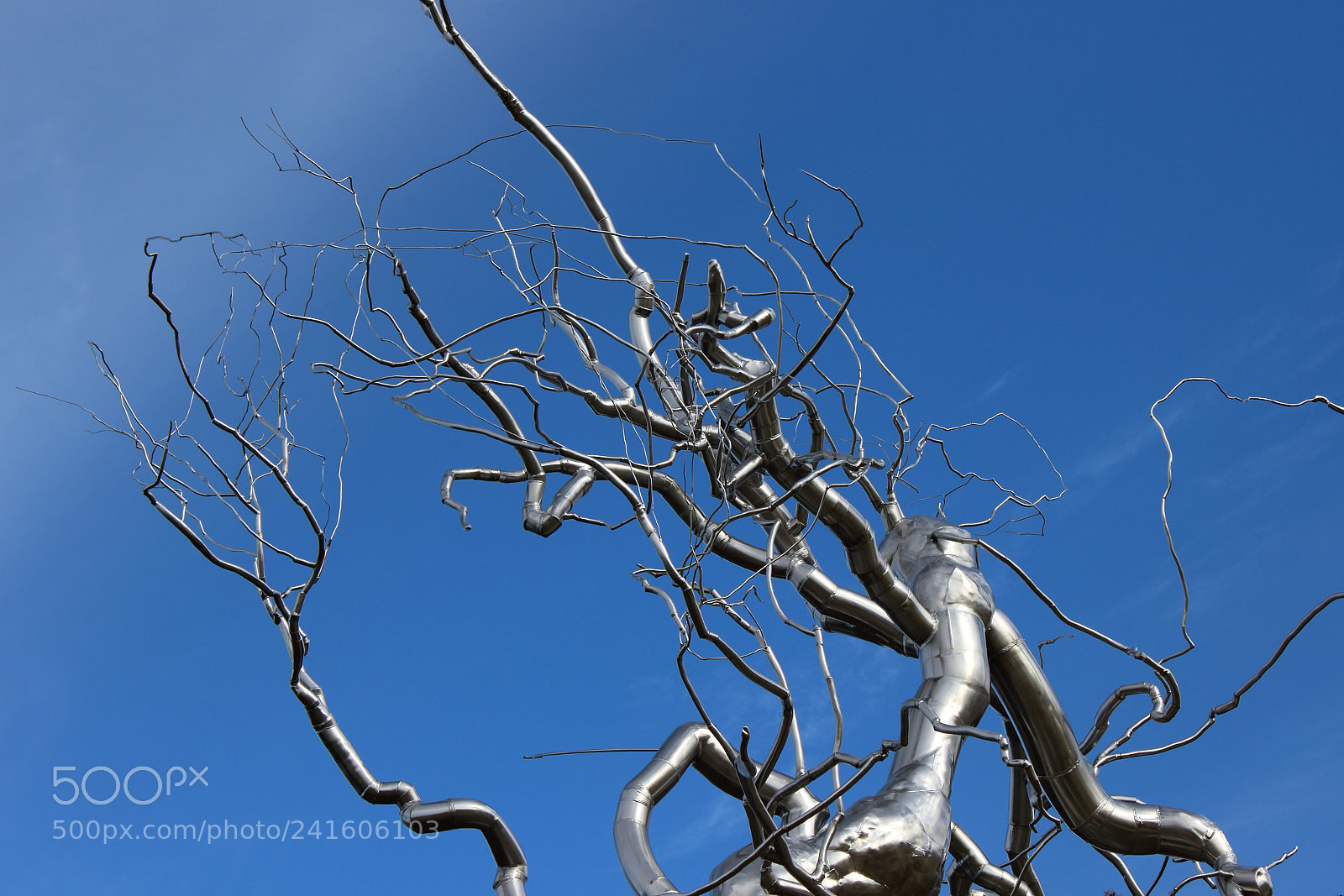 Canon EOS 600D (Rebel EOS T3i / EOS Kiss X5) sample photo. Tilted ferment photography