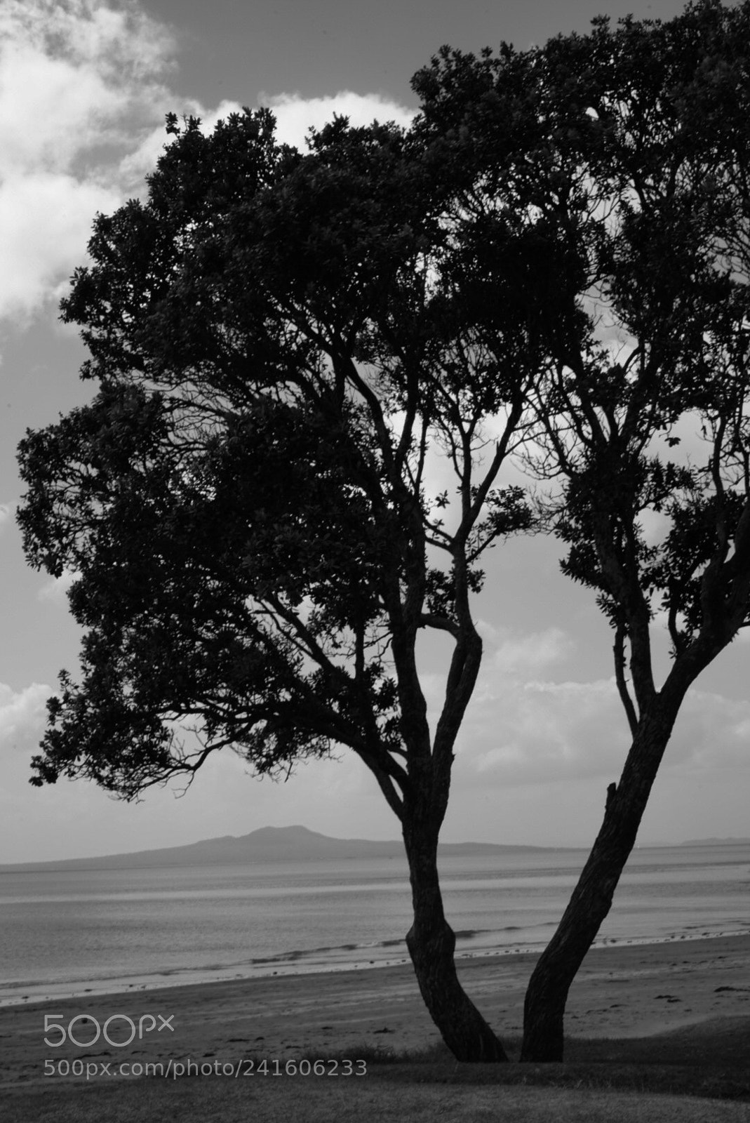 Sony a7R sample photo. Browns bay summer day photography