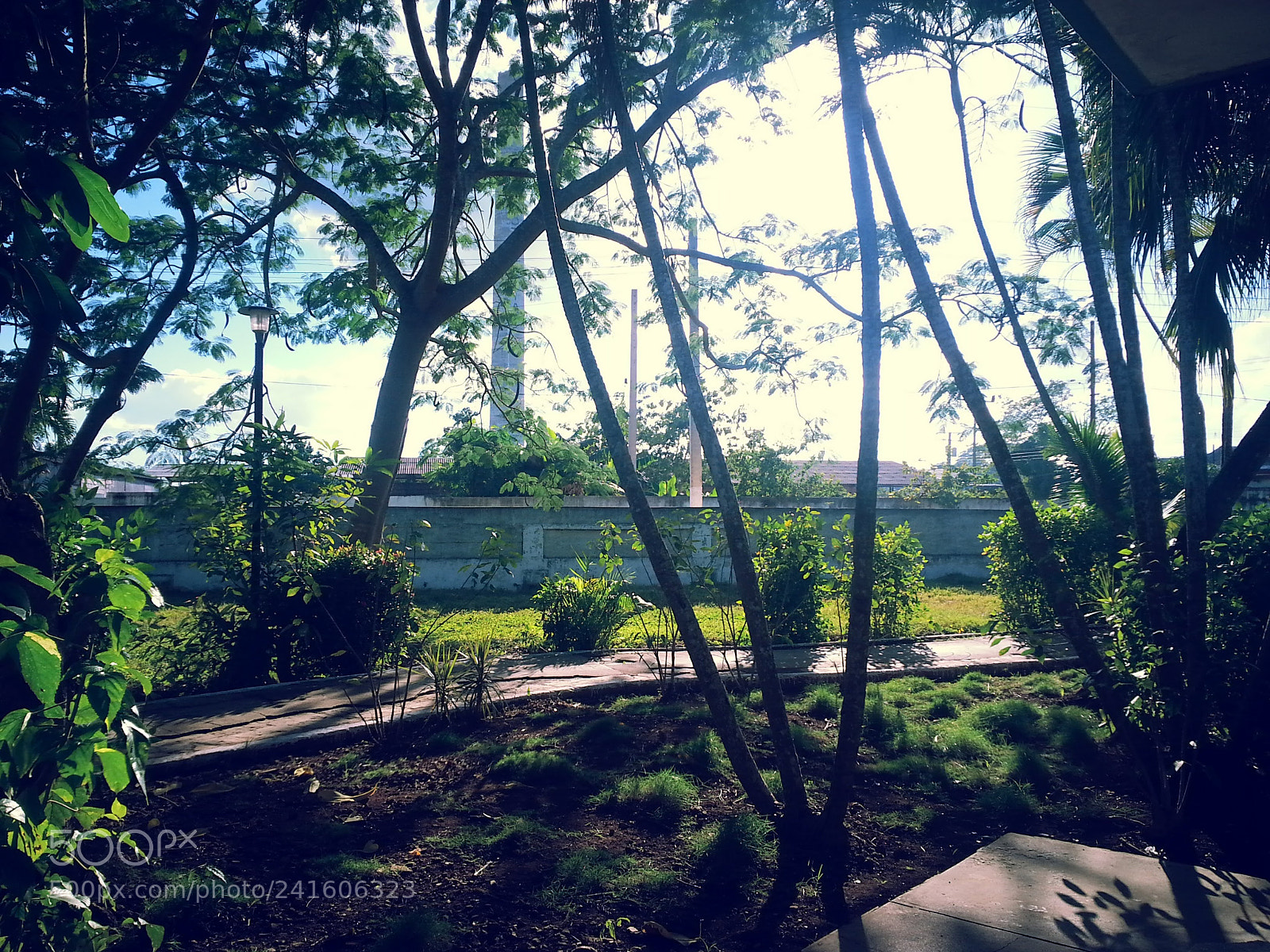 Samsung Galaxy S3 sample photo. Luminious panorama photography