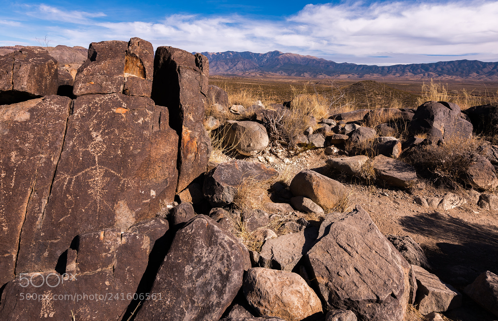Nikon D810 sample photo. Petroglyphs and sierra blanca photography