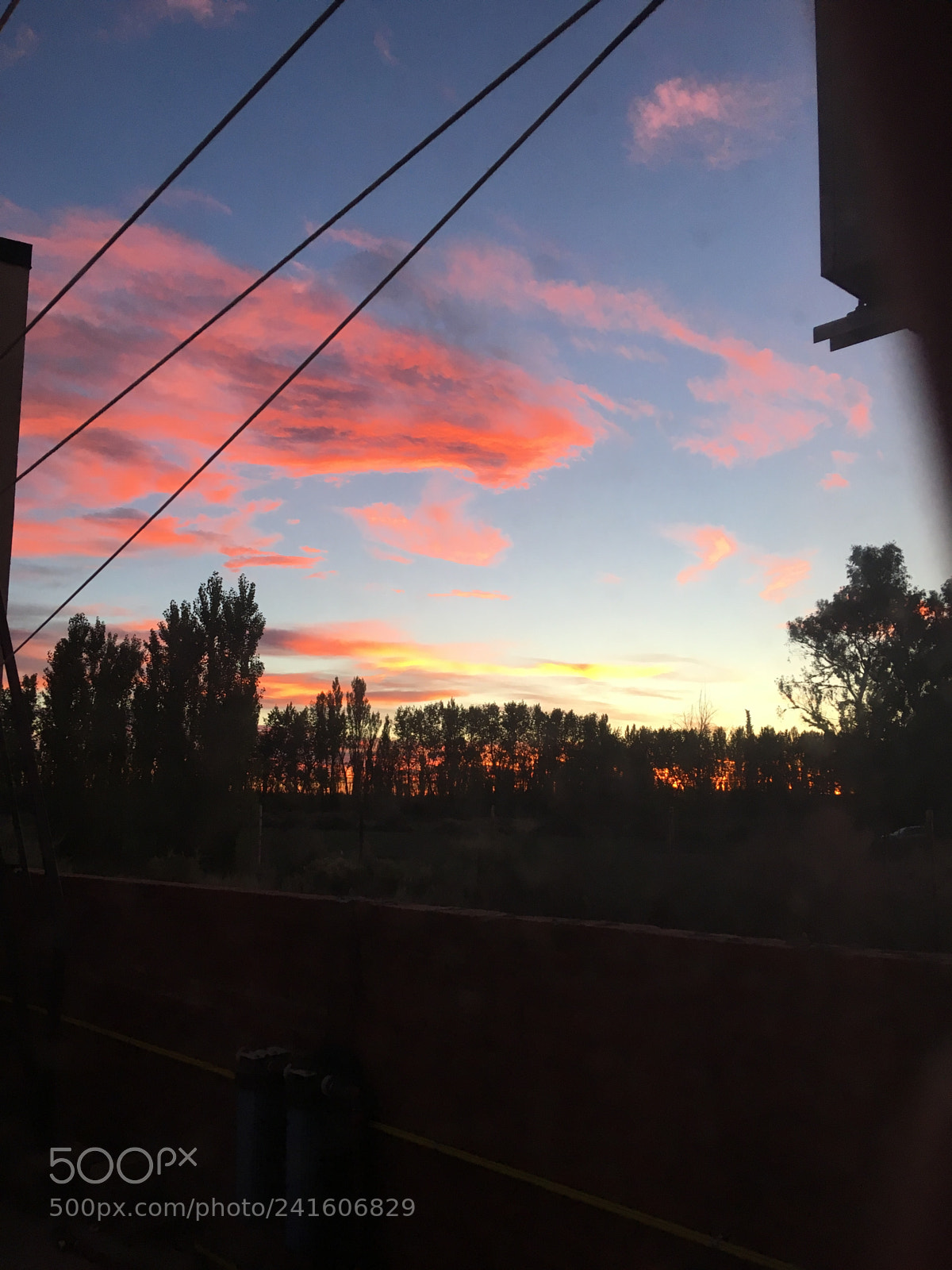 Apple iPhone SE sample photo. 20:43 photography