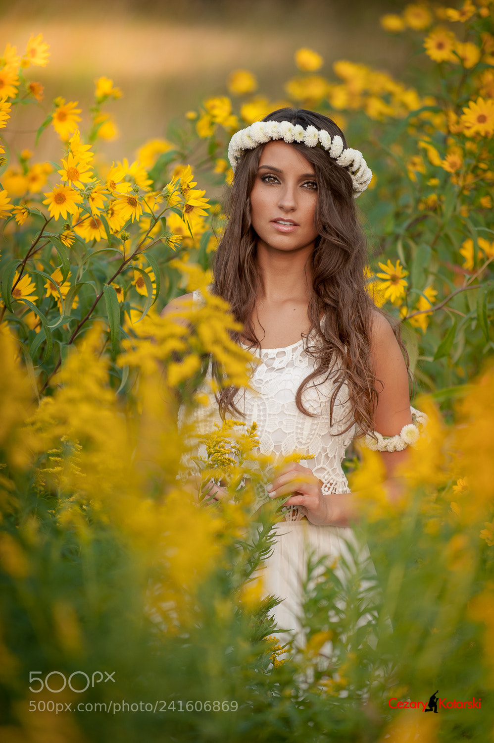 Nikon D700 sample photo. Untitled photography