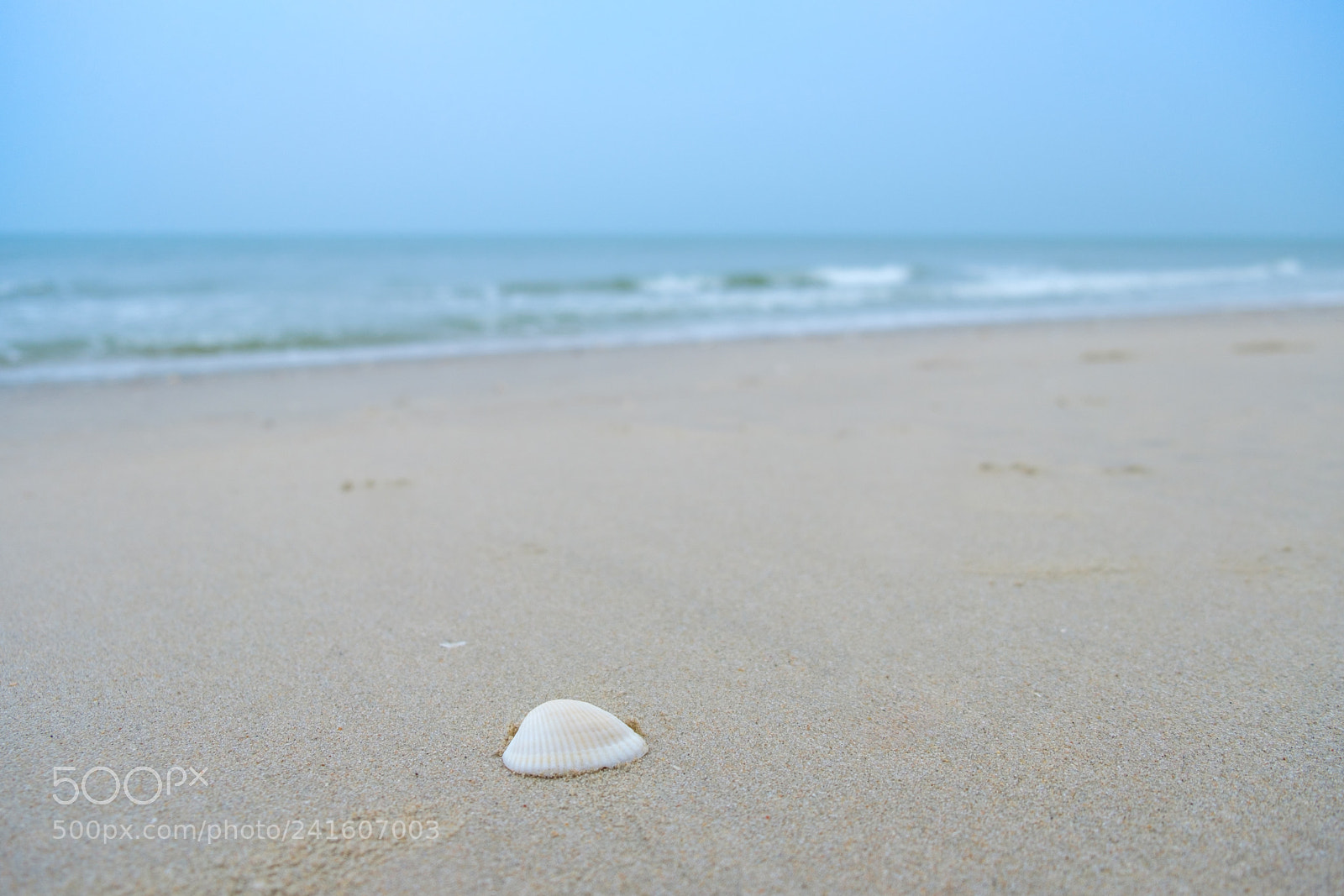 Fujifilm X-T20 sample photo. 07_01_2018_1 photography