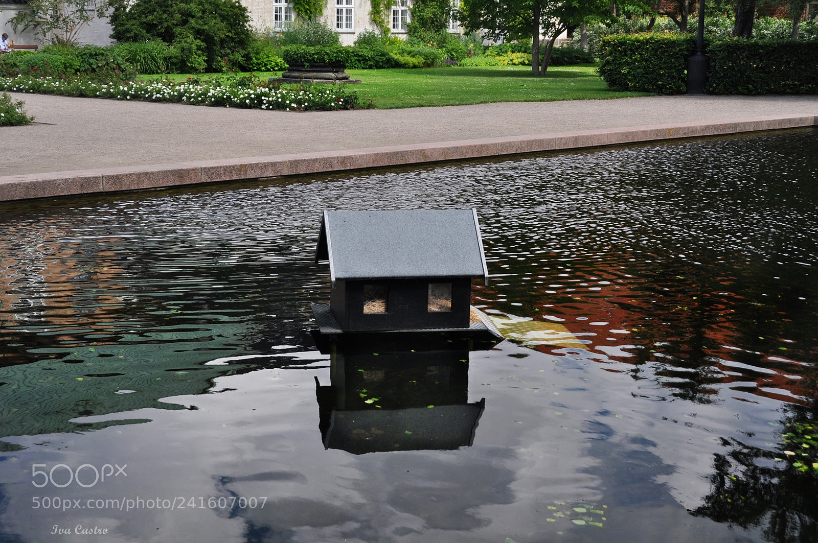 Nikon D5000 sample photo. ... (foto 1999) photography