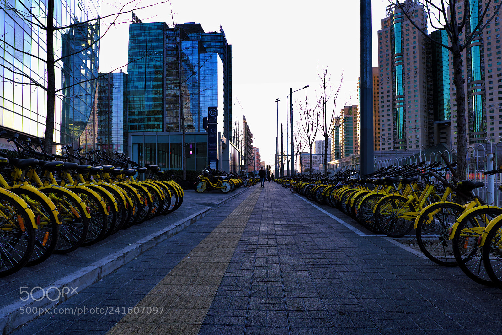 Fujifilm X-T2 sample photo. Yellow bikes in beijing (北京小黄车) photography