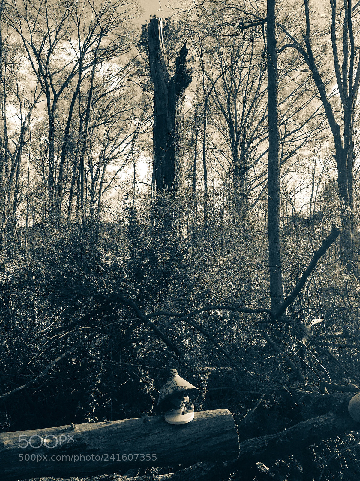 Apple iPhone 6 Plus sample photo. Doll in the woods photography