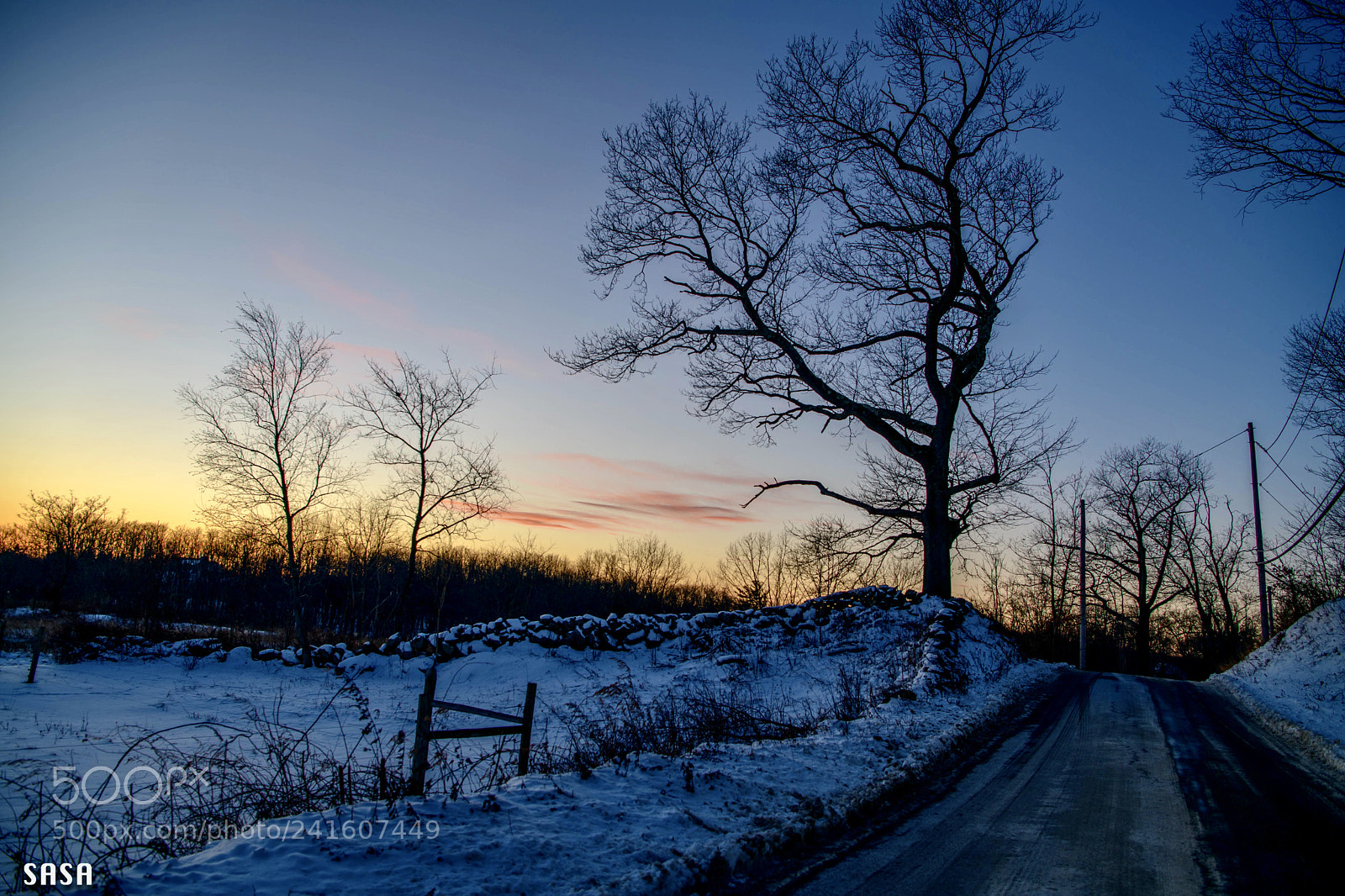 Nikon D850 sample photo. A cold evening in photography