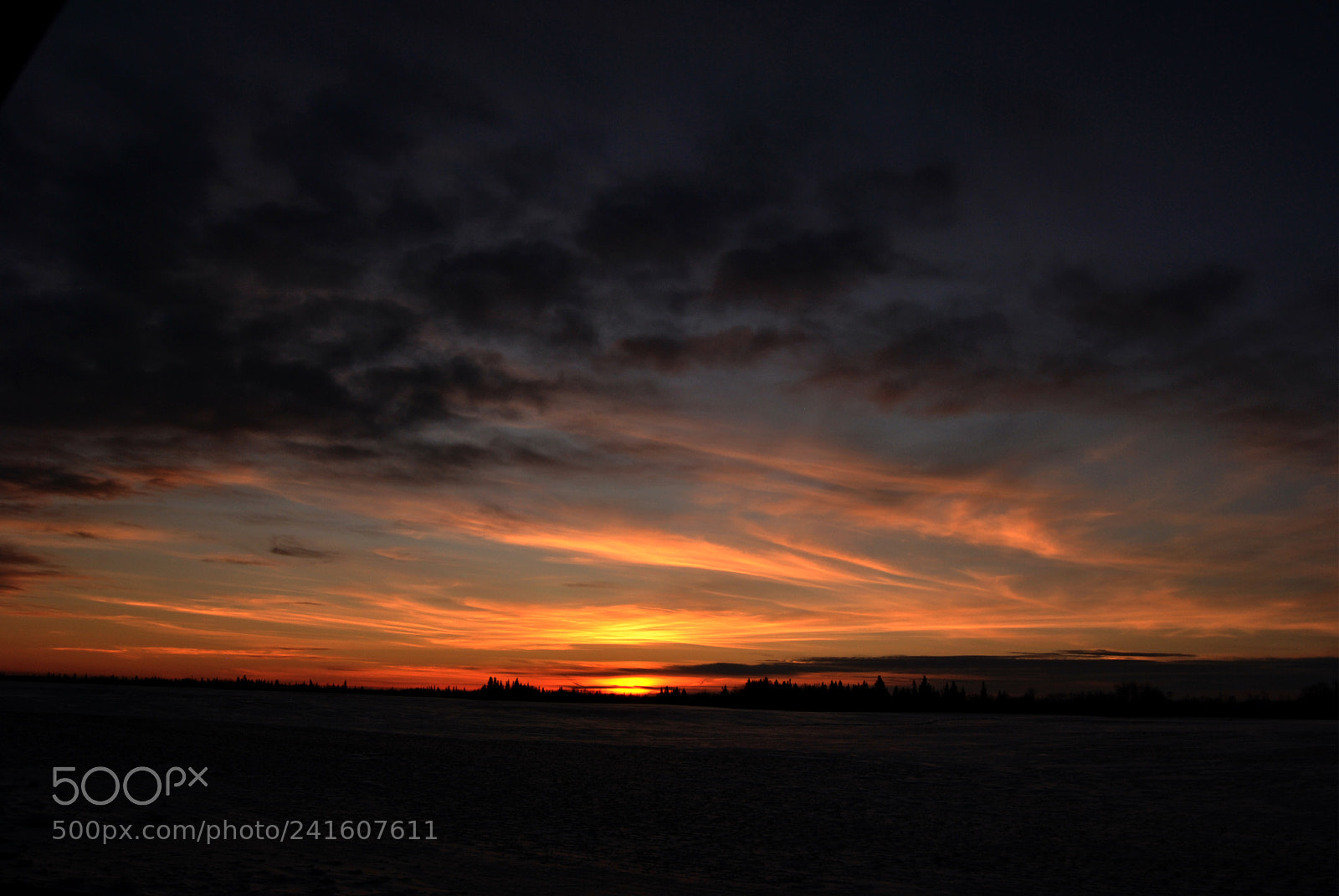 Nikon D3000 sample photo. Csc photography