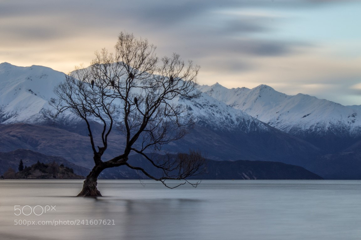 Canon EOS 600D (Rebel EOS T3i / EOS Kiss X5) sample photo. Wanaka photography