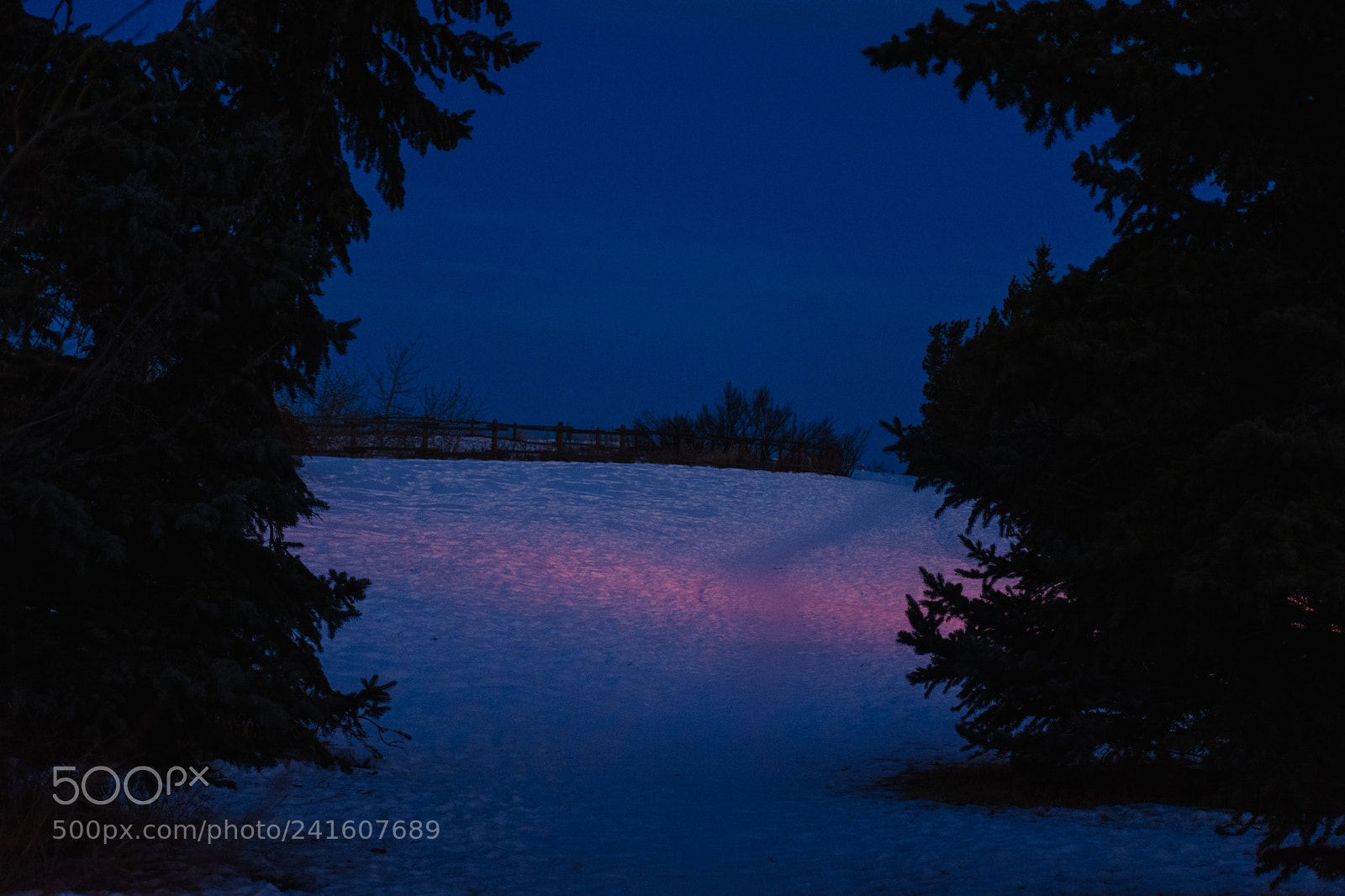 Nikon D7100 sample photo. Blue hour glow photography